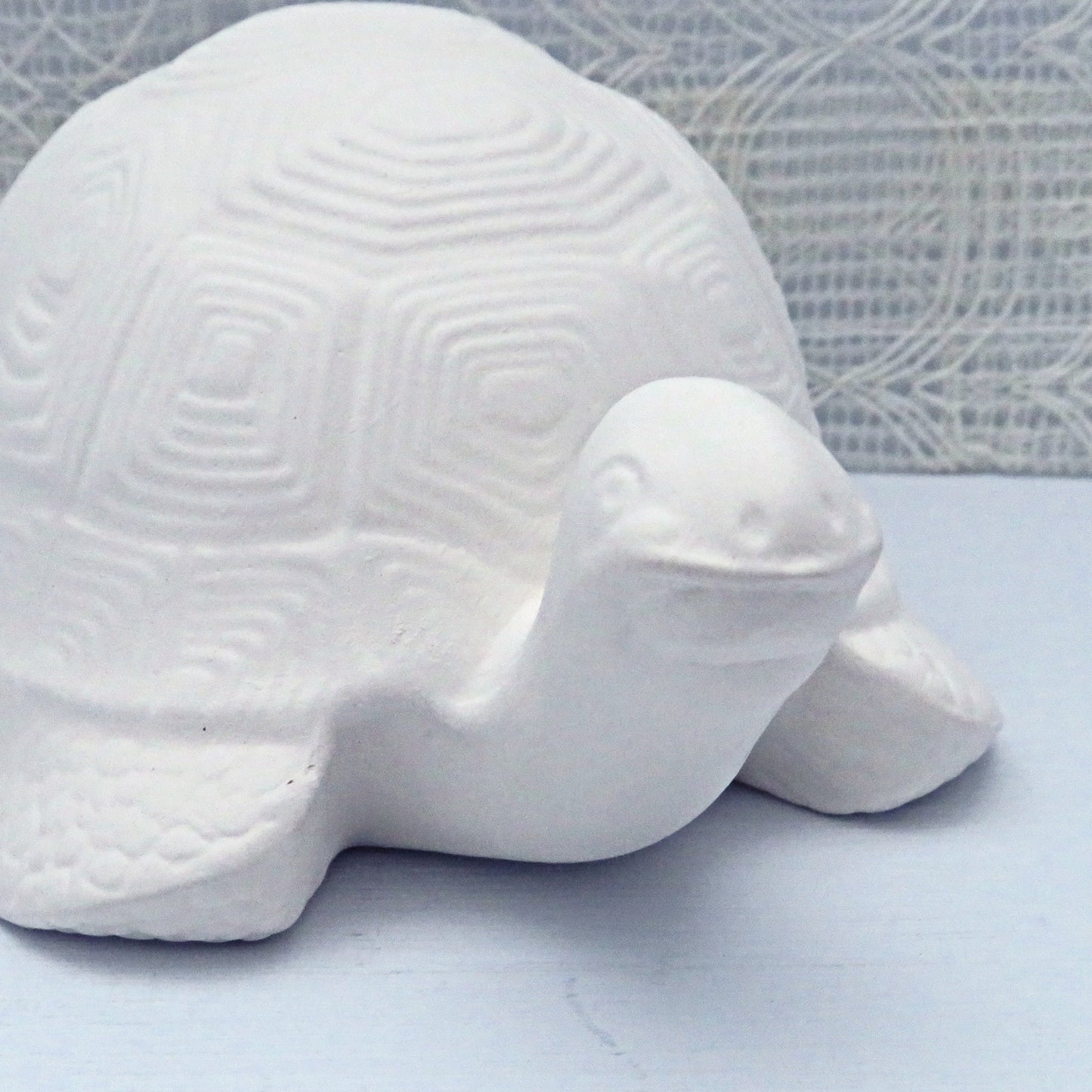 front part of unpainted turtle close up view of head and front of shell on blue table and ecru lacy table