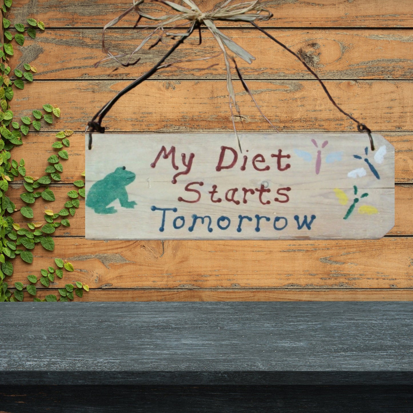 Wood Sign / Wood Wall Art/ My Diet Sign / Frog Decor, Rustic Wood Wall Art / Rustic Sign / Hand Painted Sign