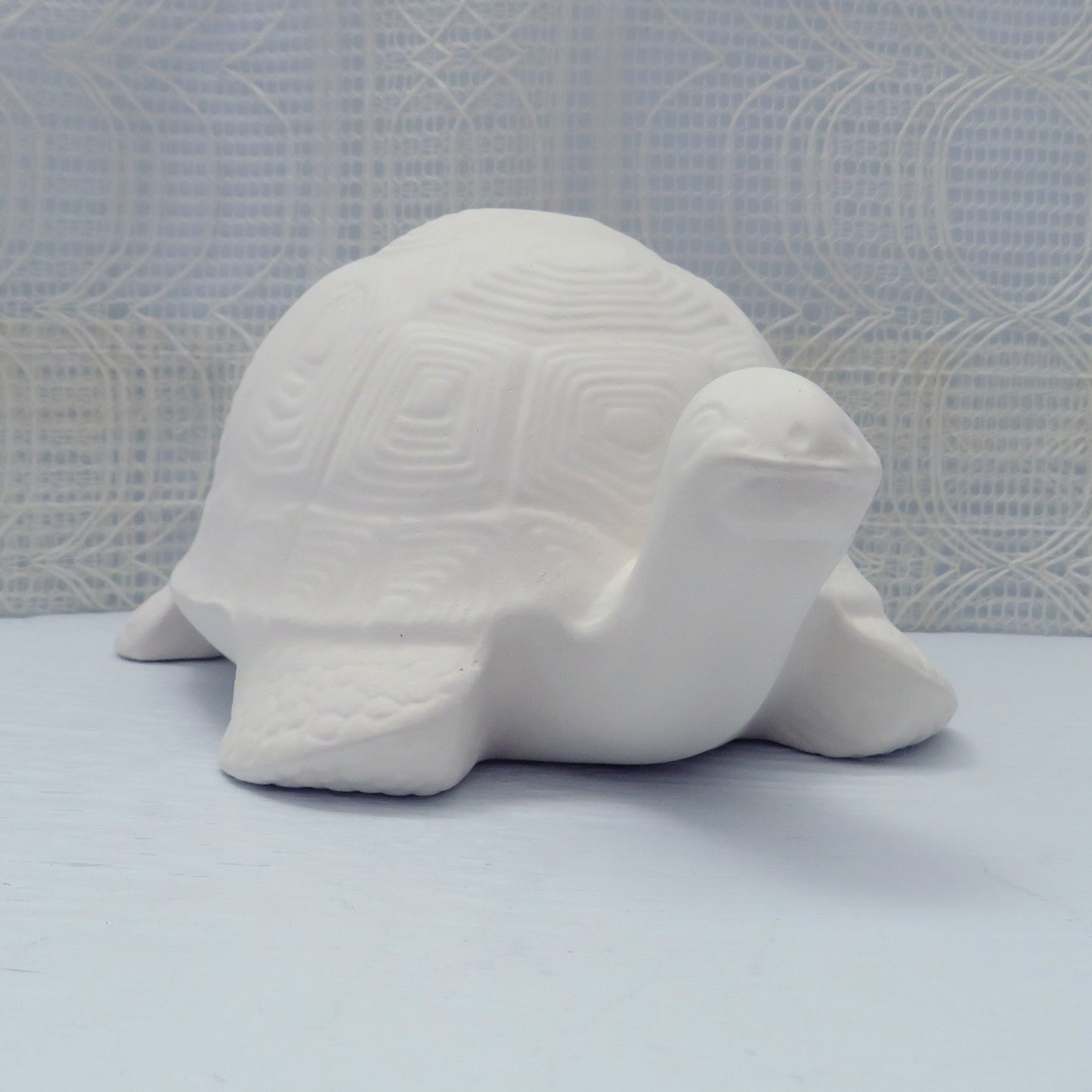 Paintable ceramic turtle on a pale blue table with a lacy curtain behind it. The turtle is facing forward and slightly toward the viewer's right