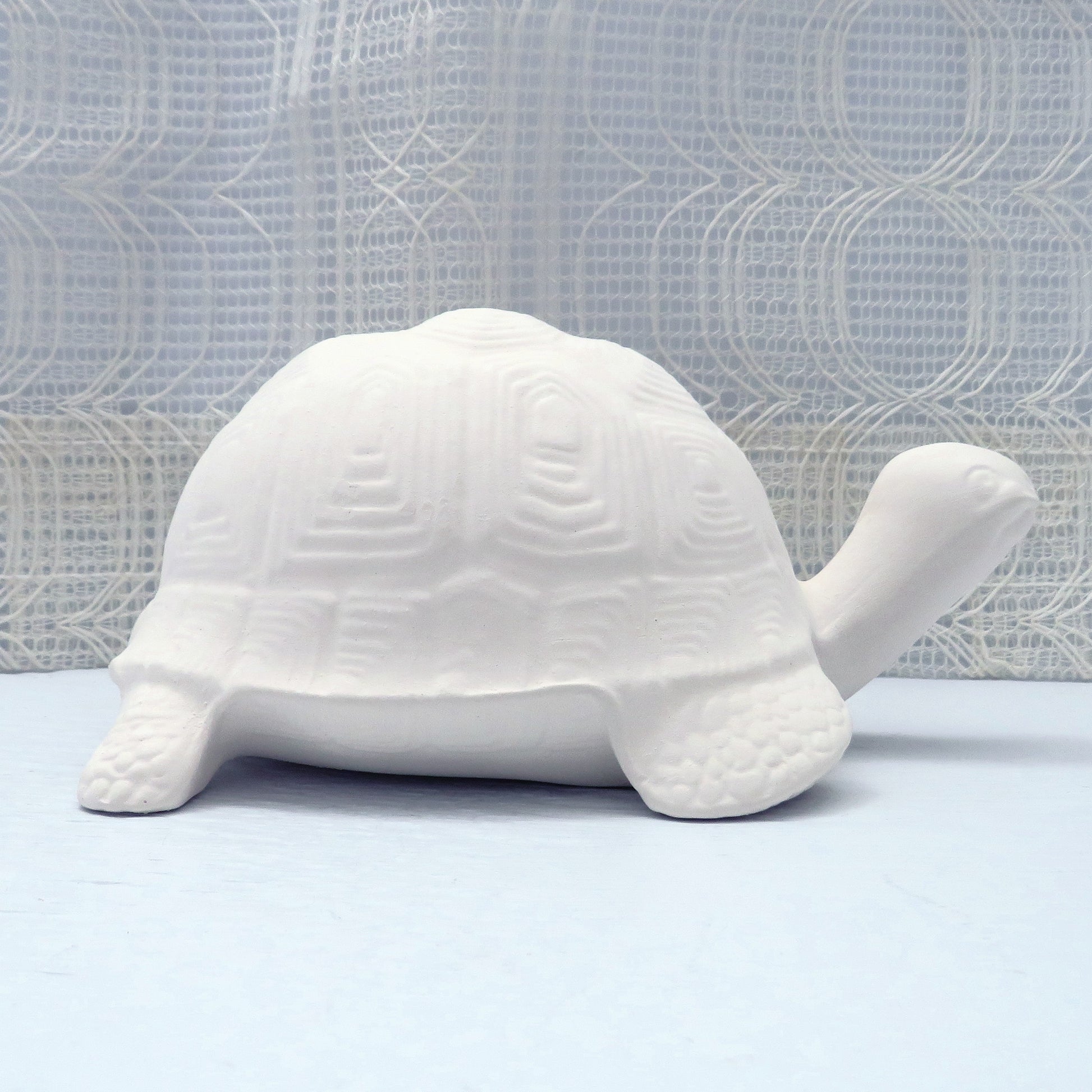 Side view of an unpainted ceramic bisque turtle facing to the viewer's right.  It is standing on a pale blue table with a lacy curtain behind it.