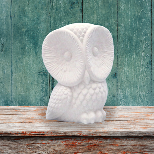 ready to paint ceramic owl sitting on shelf with rustic green background