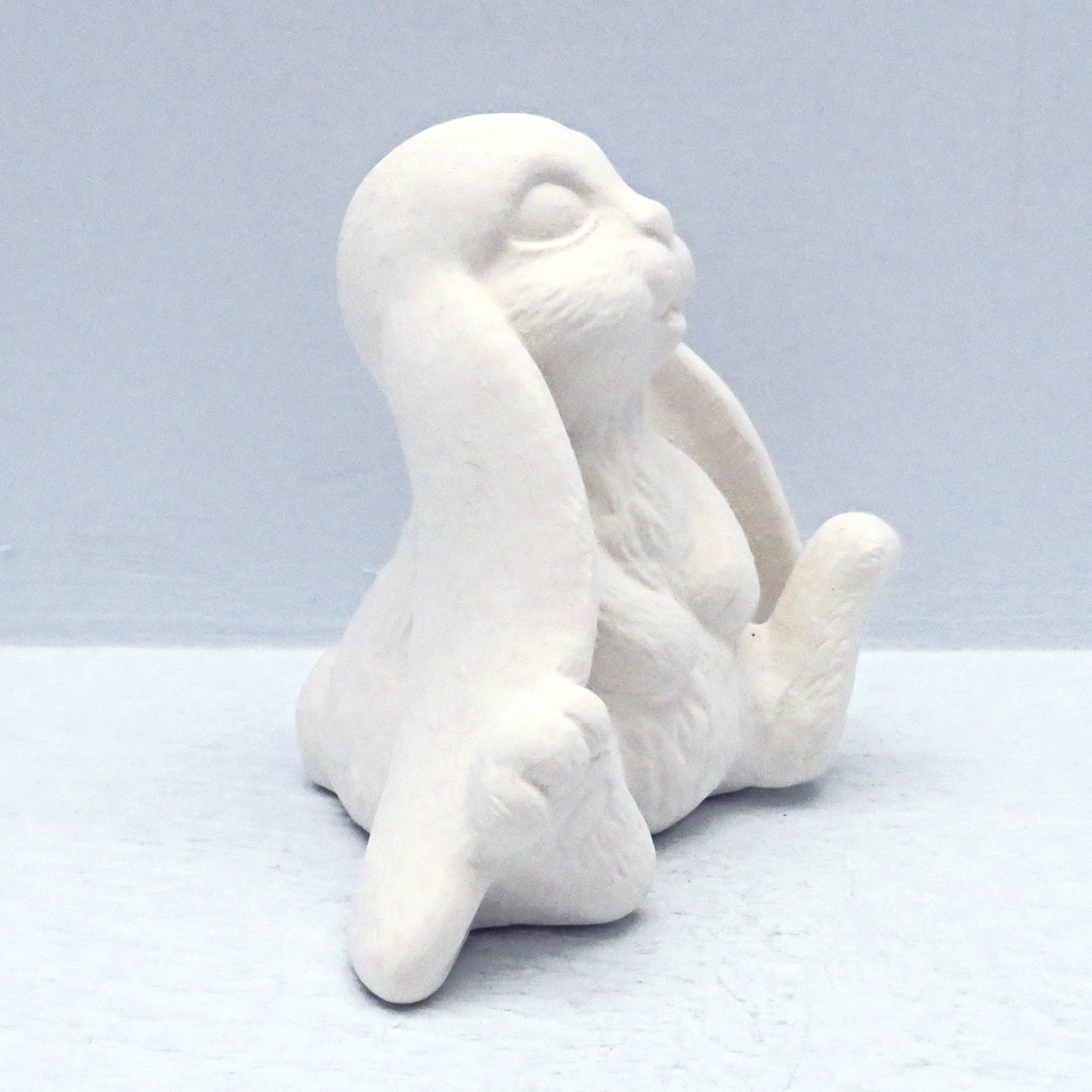 Side view of lop eared bunny sitting with feet sticking out and long ears, sitting on a light blue background.