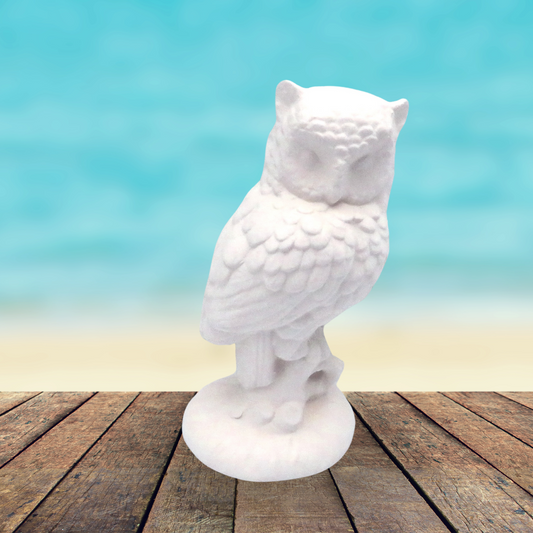 Unpainted ceramic bisque owl statue standing on a rustic wood table with the ocean behind it.