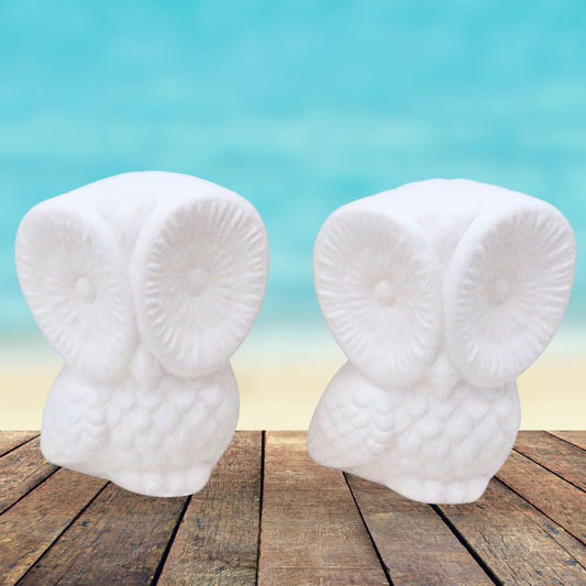 Ready to Paint Handmade Ceramic Owl Figurines, Unpainted Bisque Ceramics to Paint, Owl Statues, Paintable Ceramics, Owl Lover Gift