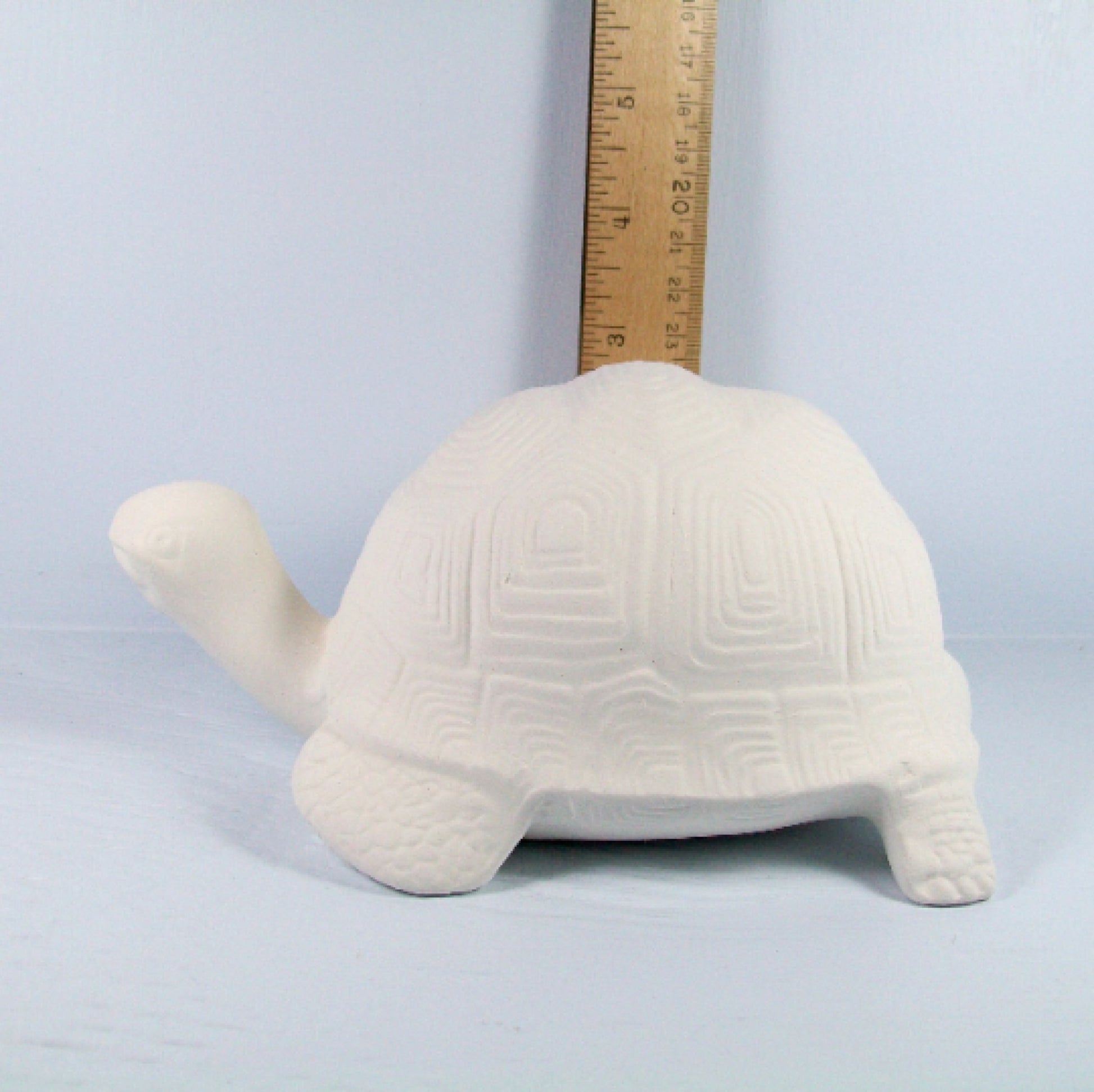 Ready to Paint ceramic turtle figurine  side view facing left near ruler showing it to be almost 3 inches tall.