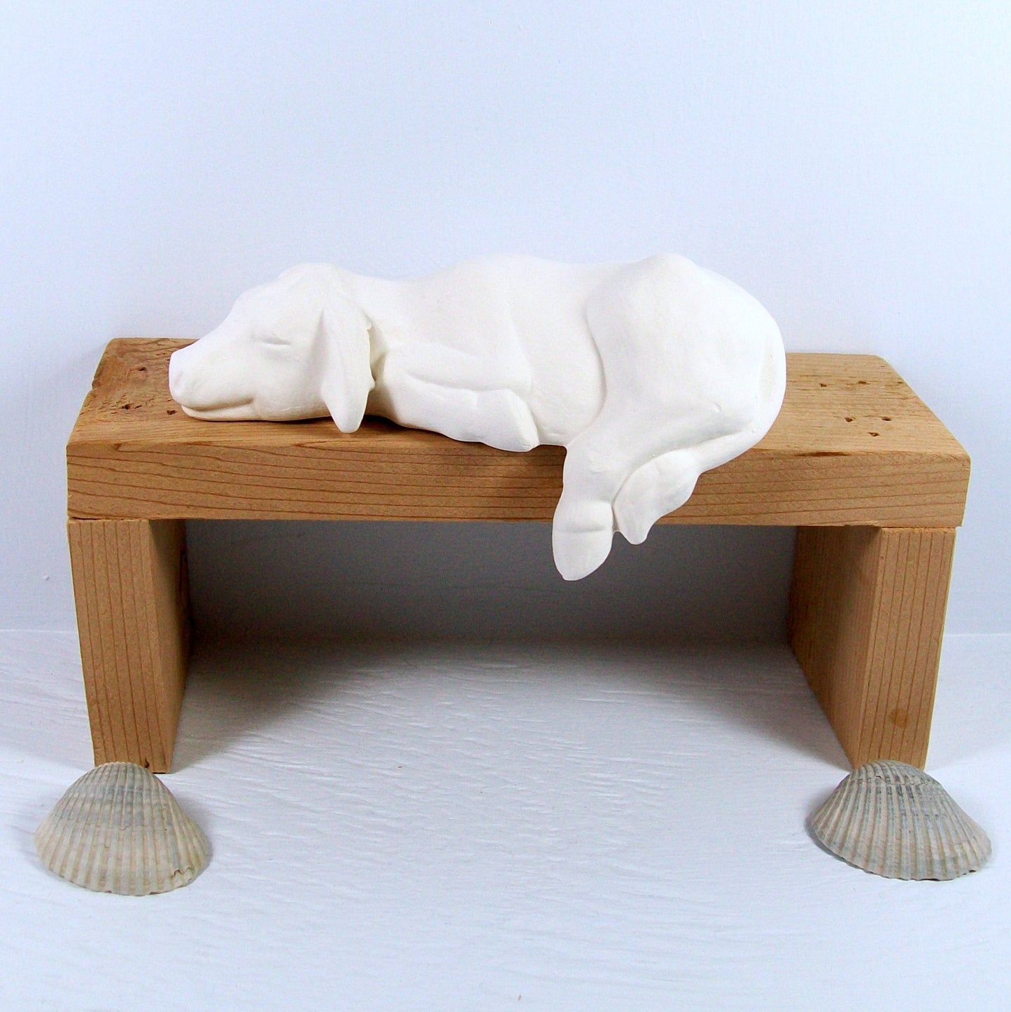 Small handmade ready to paint ceramic sleepy shelf cow with left rear leg and tail hanging over the brown wood display bench.  The background is pale blue and there are 2 sea shells on the table.