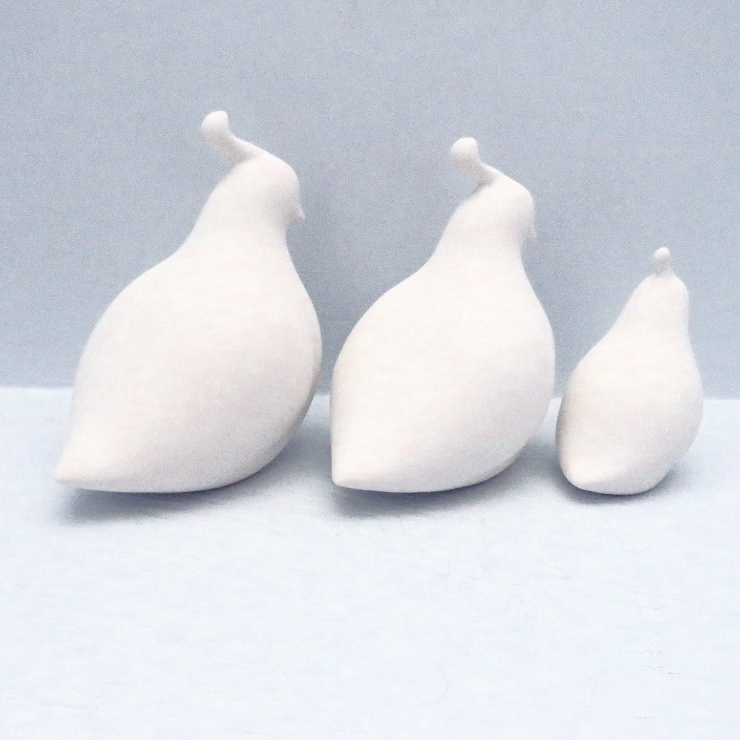 Unpainted Ceramic Bisque Quail Figurines, Ready to Paint Quail Statues, Ceramics to Paint, Paintable Ceramics, Bird Statues